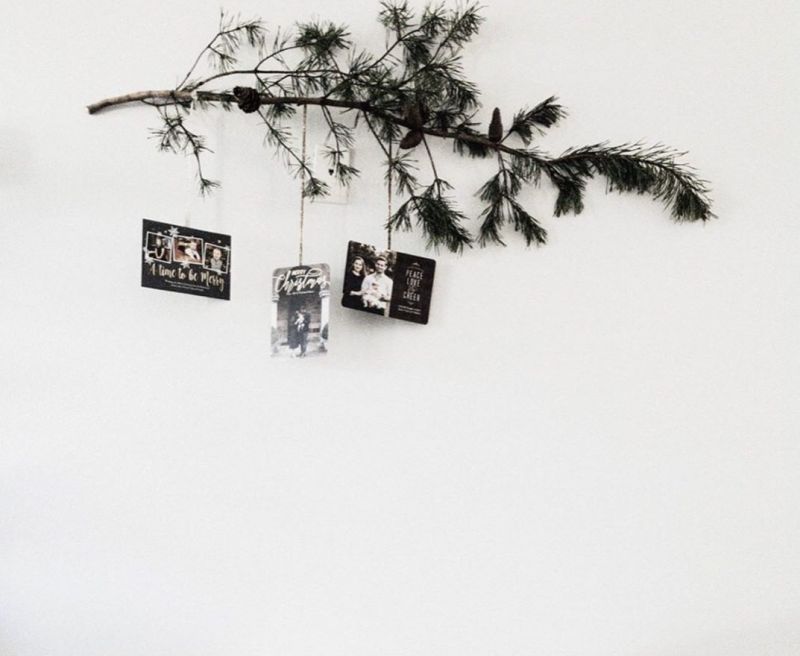 pine branch with pine cones and photos hanging on the wall 