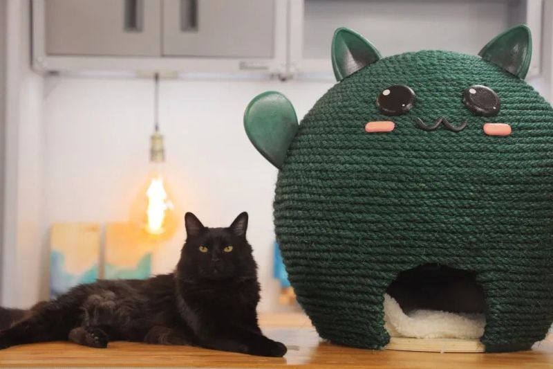 DIY Cat House from Balloons by Evan and Katelyn