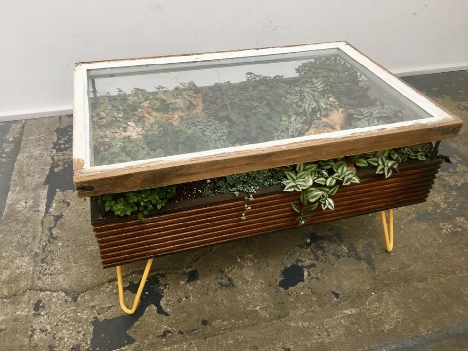 Hackney Botanical Terrarium Tables are made of Reclaimed Wood and Glass