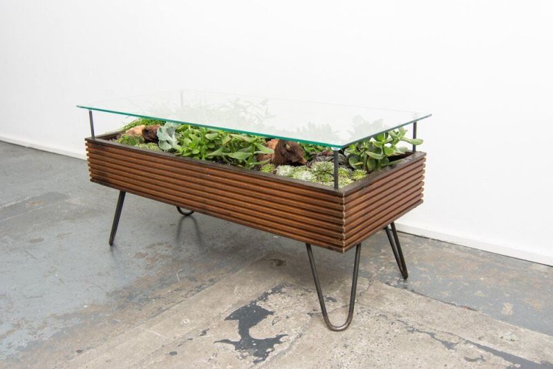 Hackney Botanical Terrarium Tables are made of Reclaimed Wood and Glass