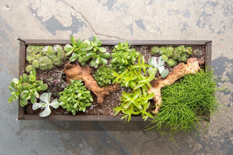 Hackney Botanical Terrarium Tables are made of Reclaimed Wood and Glass