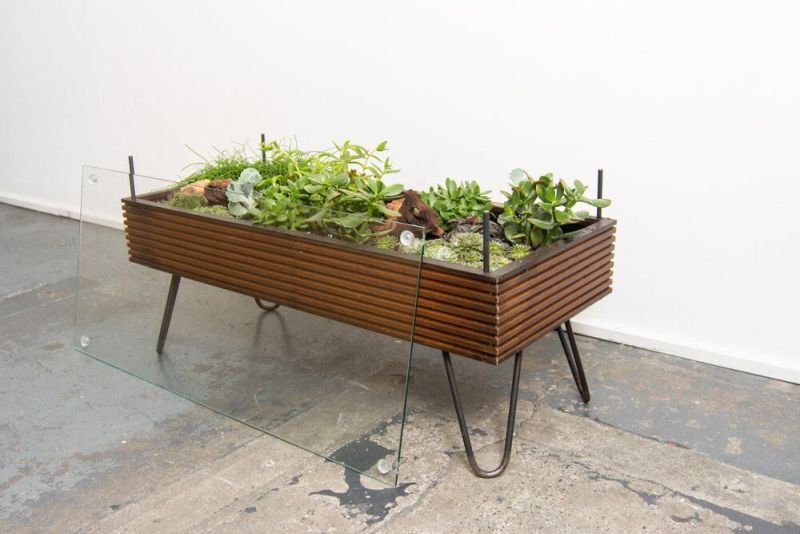 Hackney Botanical Terrarium Tables are made of Reclaimed Wood and Glass