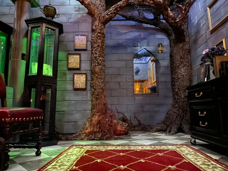 Harry Potter Fan Transformed His Bedroom into the Magical World of Hogwarts