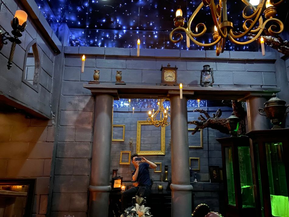 Harry Potter Fan Transforms Bedroom Into Magical World Of