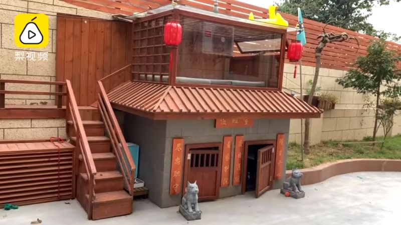 Man Builds a Luxury Villa for His Dogs Complete with Pool, Spa, and Cinema