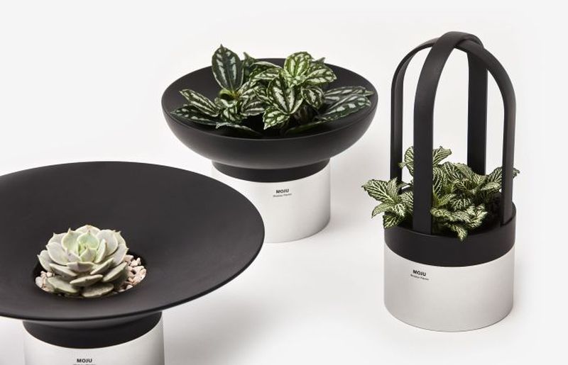 MOJU Modular Indoor Planters by Ponti Design Studio
