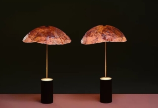 Nir Meiri and Vaidehi Thakkar Creates Veggie Lights from Red Cabbage Leaves