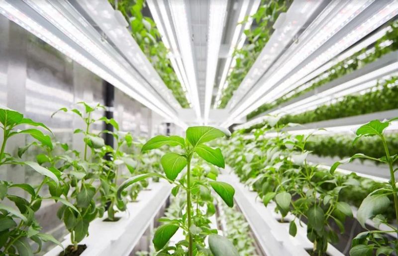 Planty-cube-automated-vertical-farming-system