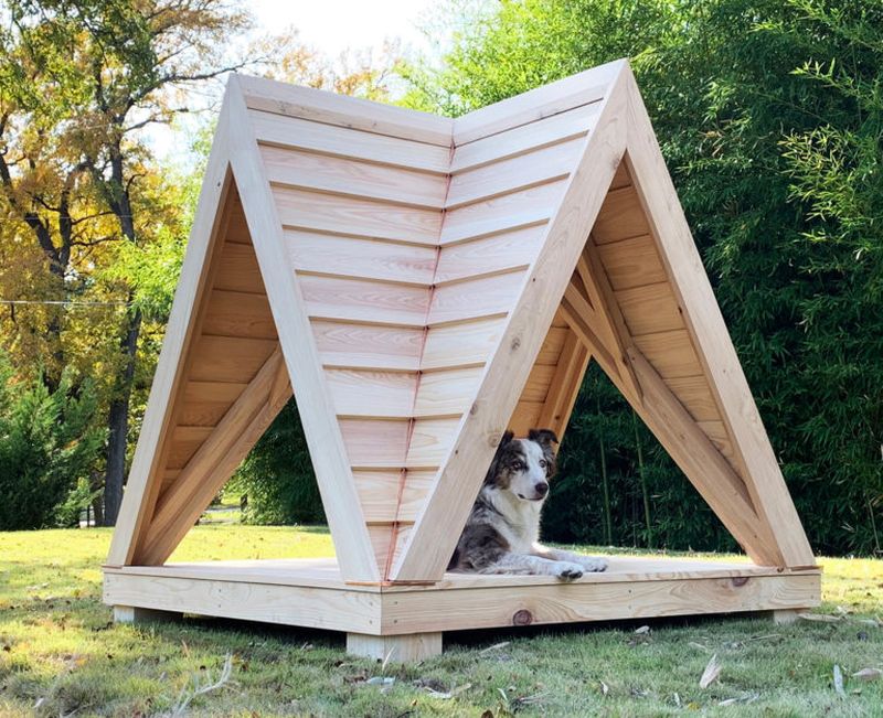 Winners of Bark + Build Competition 2019 