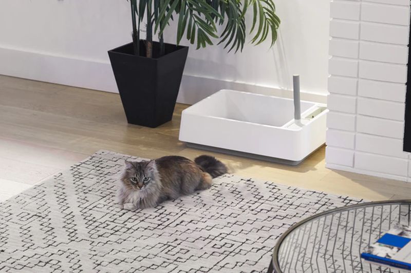 Minimalist Cove Litter Box Beautifully Blends Style and Functionality