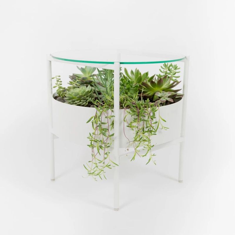 Palm Urban’s Green Glass Table has Built-in Planter 