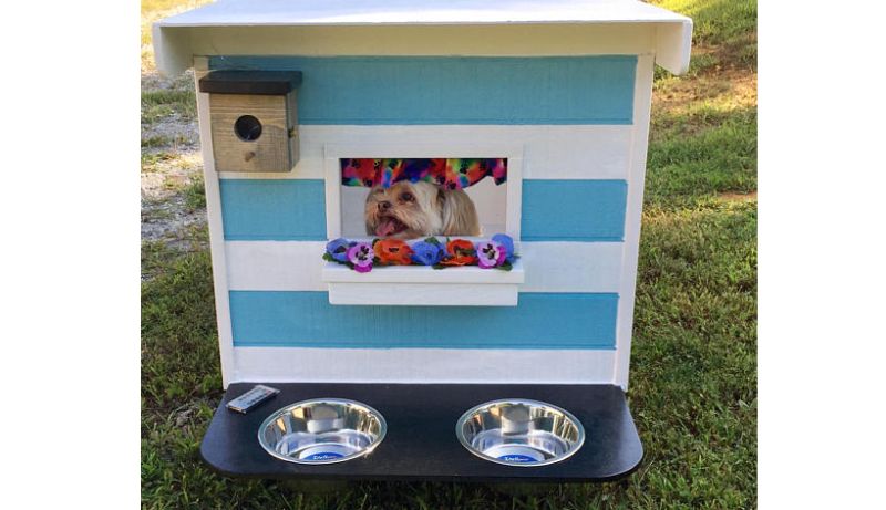 These Miniature Pet Campers by Steve Johnson are for Real 