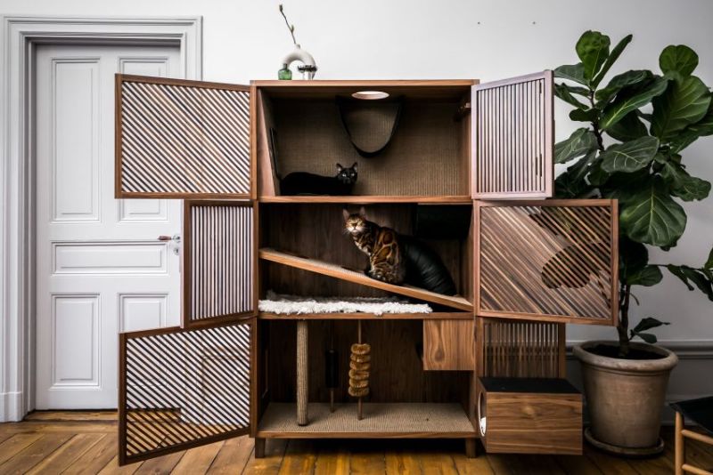 This Cat Flat by 24Storage is Ideal for You and Your Cat 