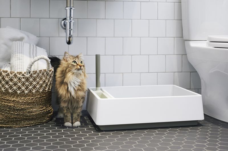 Cove by Tuft + Paw: Cat Litter Box with Integrated Scoop, Dustpan and Handbrush