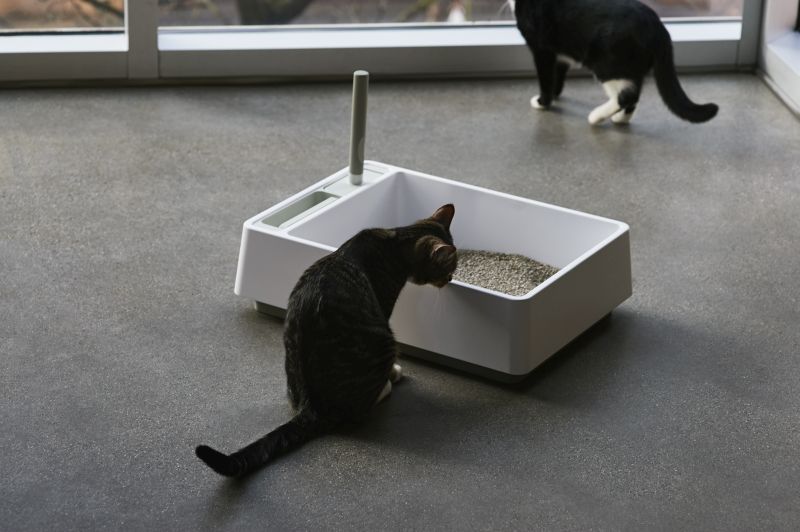 Cove by Tuft + Paw: Cat Litter Box with Integrated Scoop, Dustpan and Handbrush