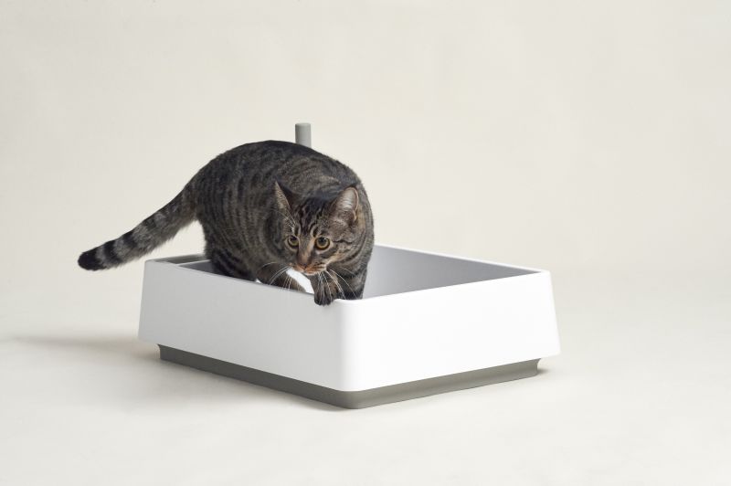 Cove by Tuft + Paw: Cat Litter Box with Integrated Scoop, Dustpan and Handbrush