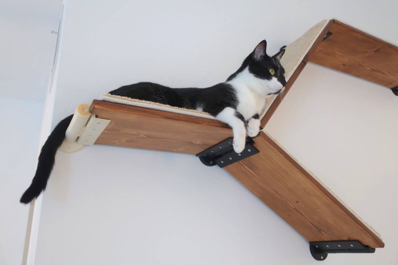 CatScapes Cat Shelves with Infinite Design Possibilities for Your Cat to Enjoy