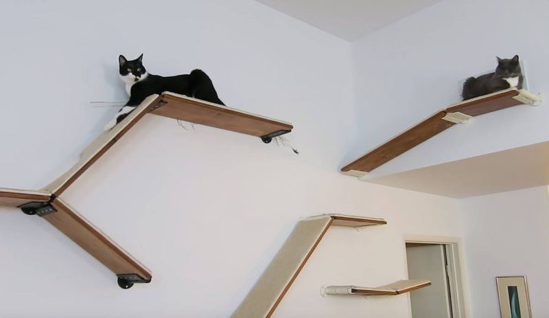 CatScapes Cat Shelves with Infinite Design Possibilities for Your Cat to Enjoy