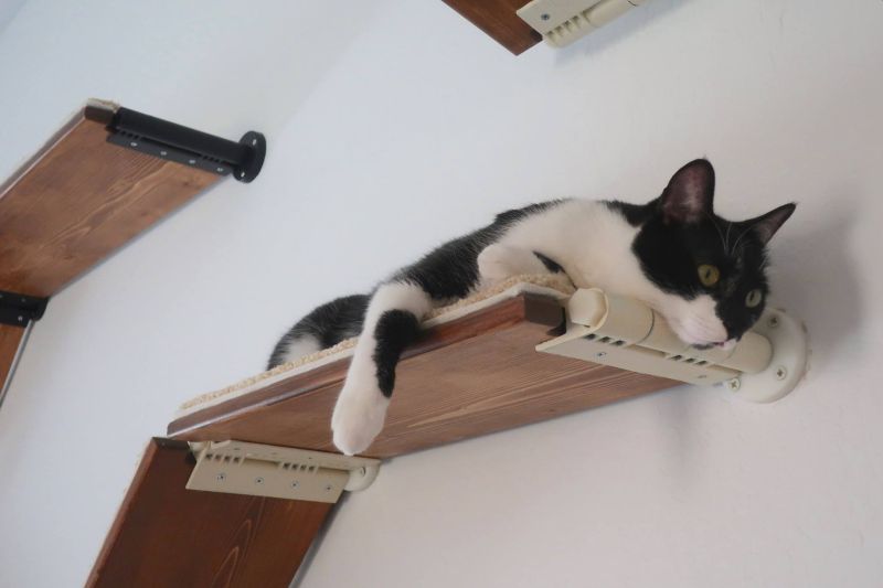 CatScapes Cat Shelves with Infinite Design Possibilities for Your Cat to Enjoy