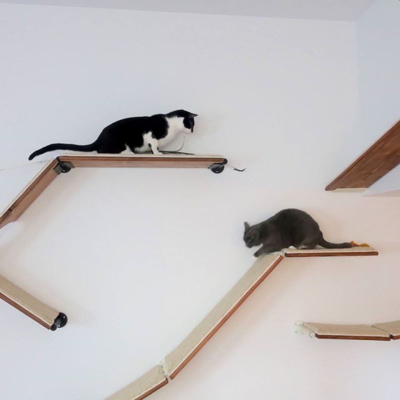 CatScapes Cat Shelves with Infinite Design Possibilities for Your Cat to Enjoy