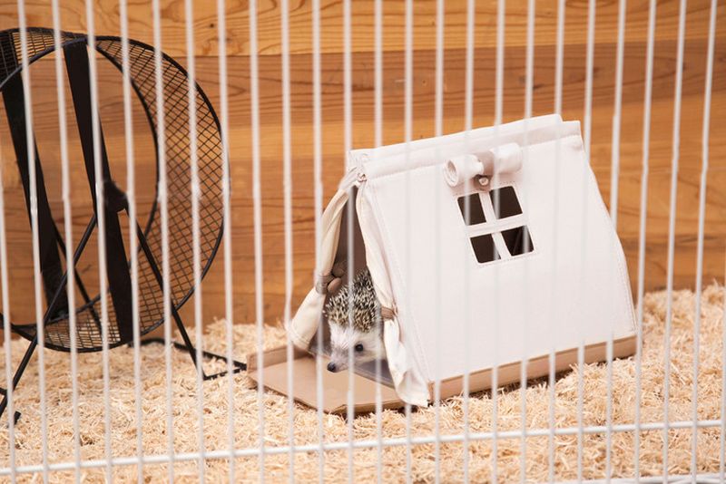 SOLCION’s Tent-Shaped Portable House for Hedgehogs